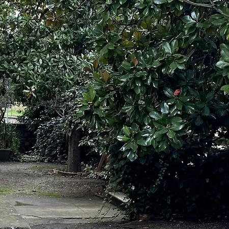 Elegant Fully Equipped In Center Of Perugia,parking * Pérouse