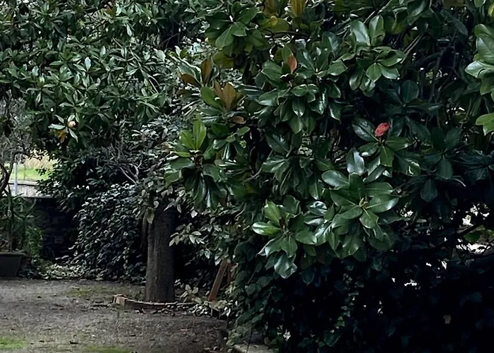 Elegant Fully Equipped In Center Of Perugia,parking * Perugia